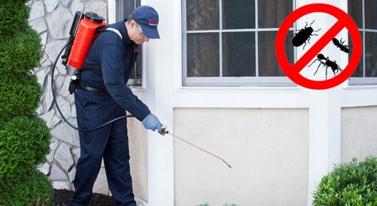 Divriği Gümüşkurt İlaçlama böcek ilaçlama ve haşere kontrolü — ilaclama-tr.com